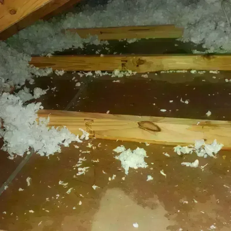 Attic Water Damage in LeChee, AZ