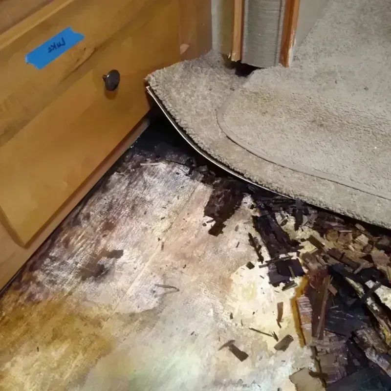 Best Wood Floor Water Damage Service in LeChee, AZ